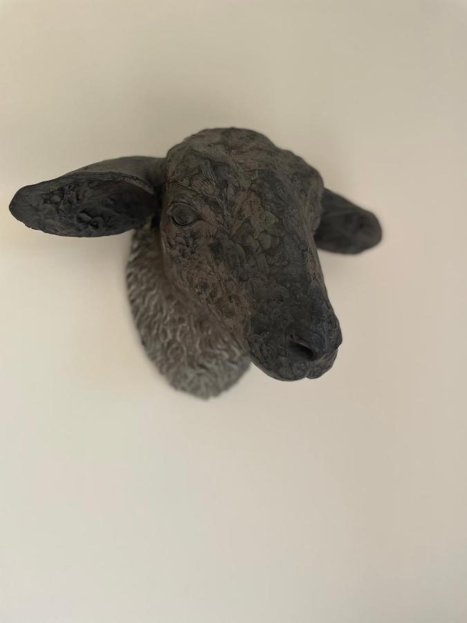 Sea View Cabin Clashnessie エクステリア 写真